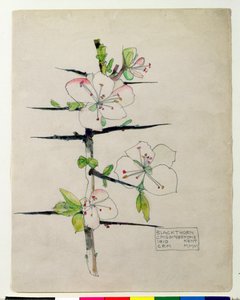 سكيبيو (237-183 قبل الميلاد) بواسطة ديفيد تينيرز الأصغر